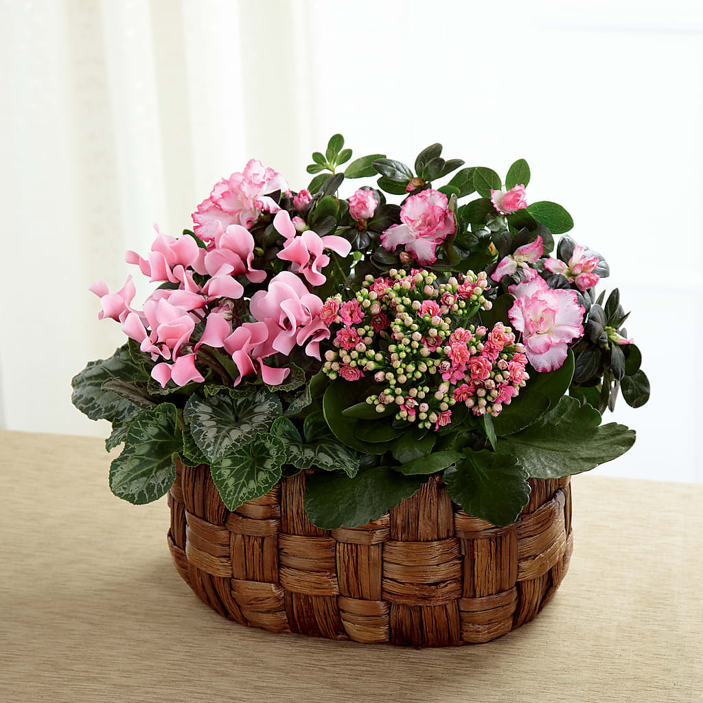 Pink Assortment – Mt Scott Flowers, Happy Valley OR