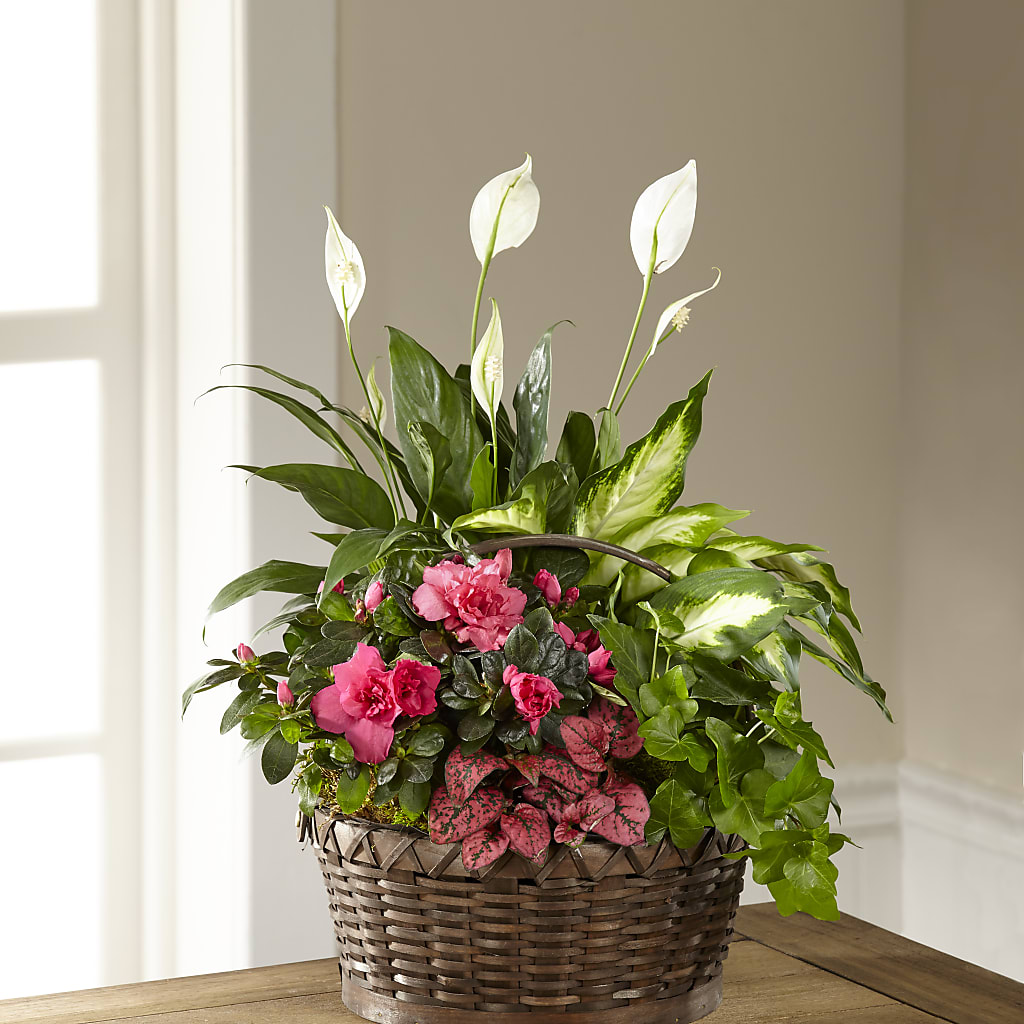 Dream in Pink Dishgarden – Mt Scott Flowers, Happy Valley OR