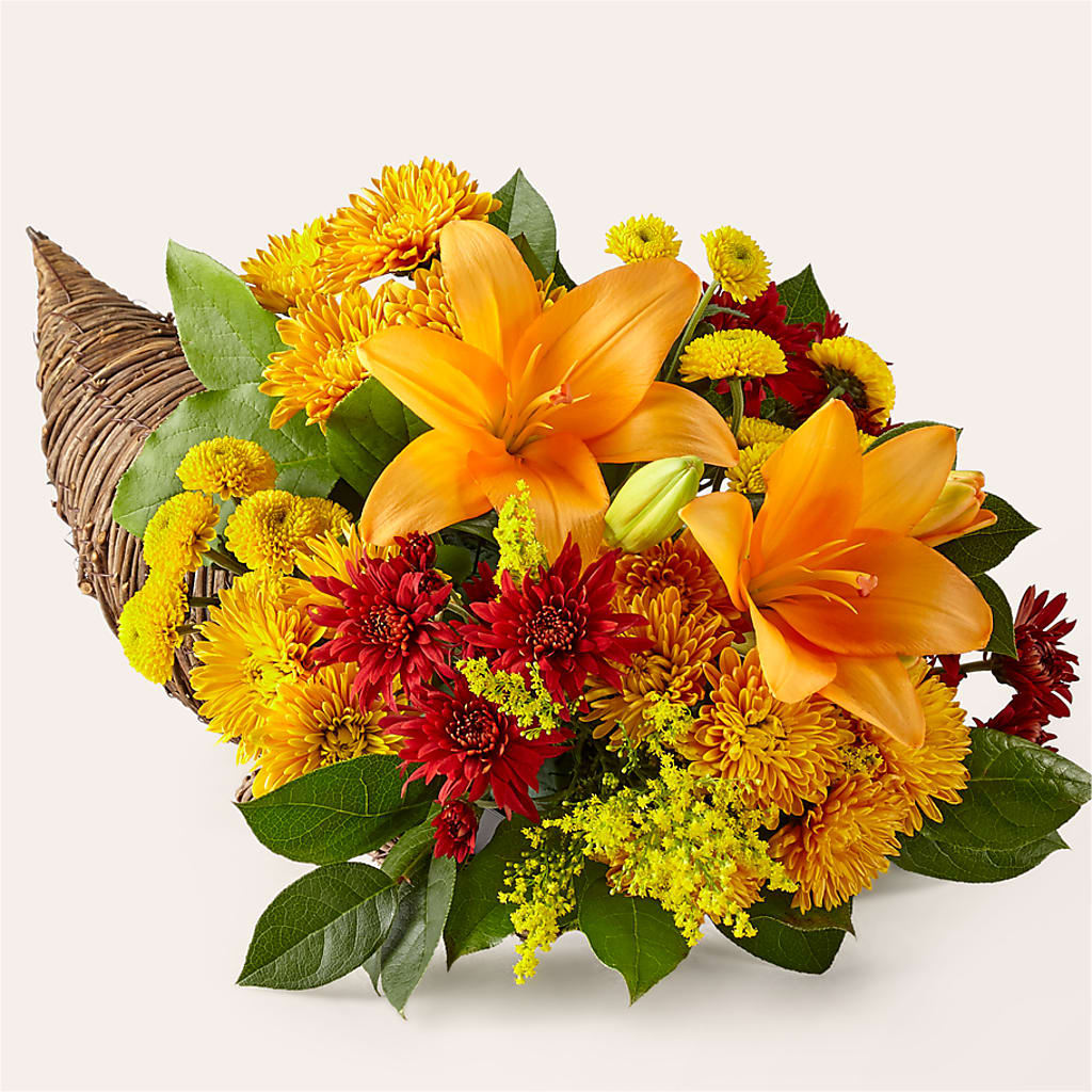 Feast of Color Cornucopia – Mt Scott Flowers, Happy Valley OR