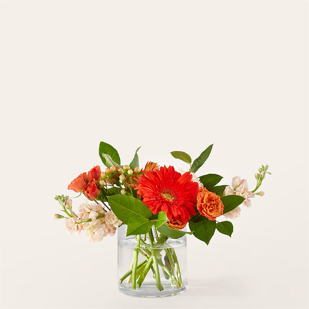 Paloma Please Bouquet – Mt Scott Flowers, Happy Valley OR