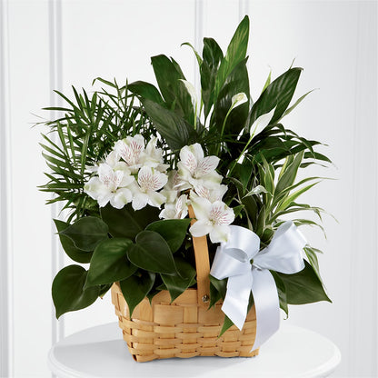 Peace & Serenity Dishgarden –  Mt Scott Flowers, Happy Valley OR