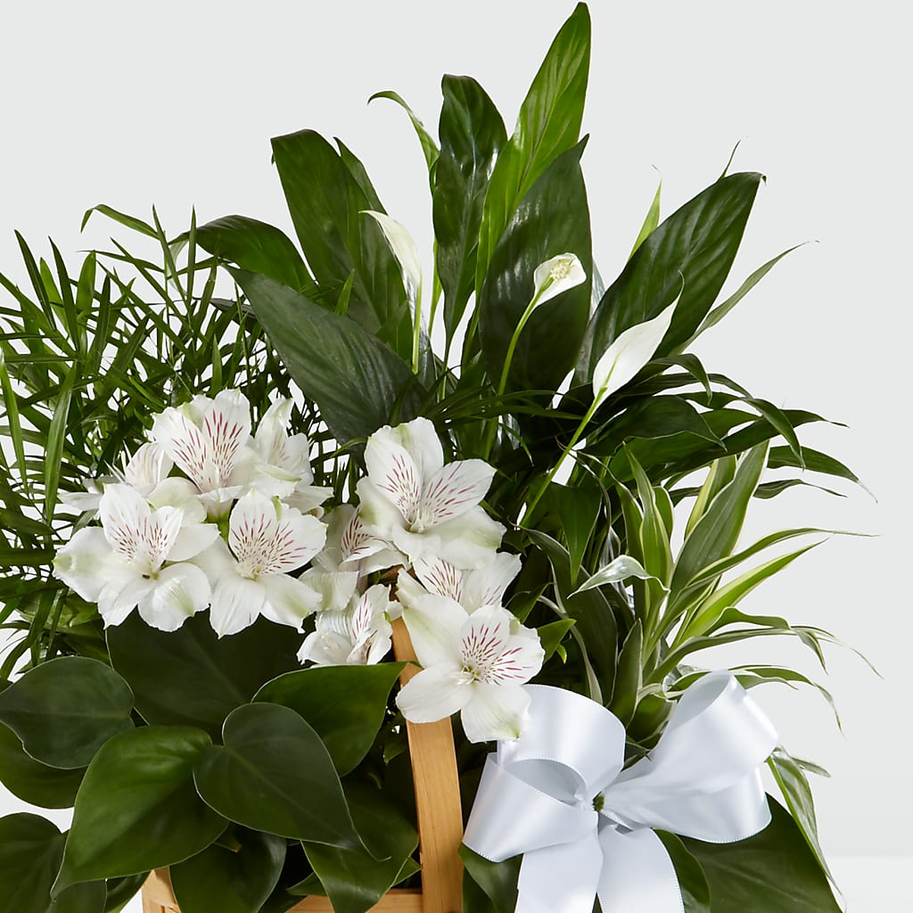 Peace & Serenity Dishgarden –  Mt Scott Flowers, Happy Valley OR