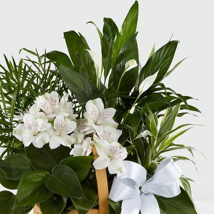 Peace & Serenity Dishgarden –  Mt Scott Flowers, Happy Valley OR