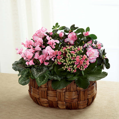 Pink Assortment –  Mt Scott Flowers, Happy Valley OR