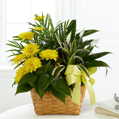 Loving Light Dishgarden –  Mt Scott Flowers, Happy Valley OR