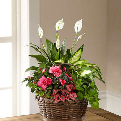 Dream in Pink Dishgarden –  Mt Scott Flowers, Happy Valley OR