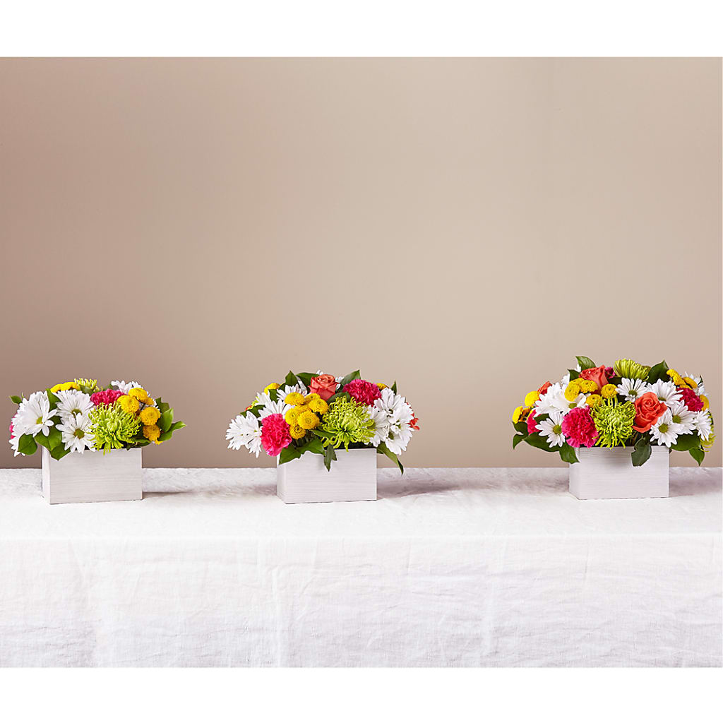 Sorbet Bouquet –  Mt Scott Flowers, Happy Valley OR