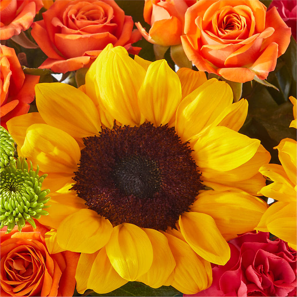 Sun-drenched Blooms Box Bouquet –  Mt Scott Flowers, Happy Valley OR
