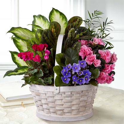 Peaceful Garden Planter –  Mt Scott Flowers, Happy Valley OR