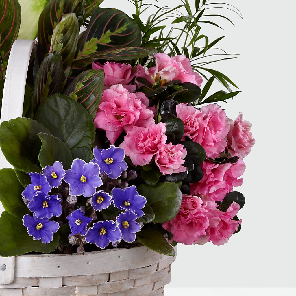 Peaceful Garden Planter –  Mt Scott Flowers, Happy Valley OR