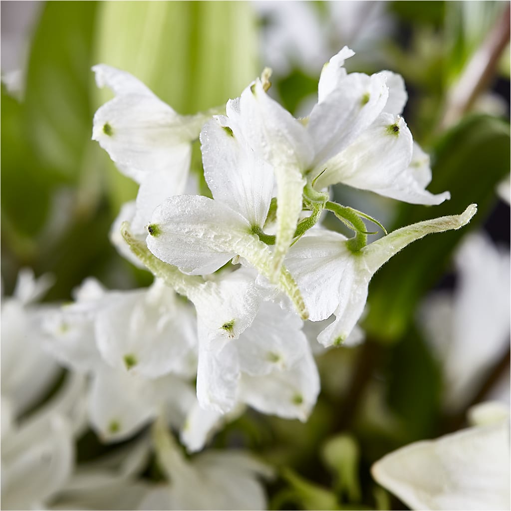 Classic Ivory – A Florist Original –  Mt Scott Flowers, Happy Valley OR