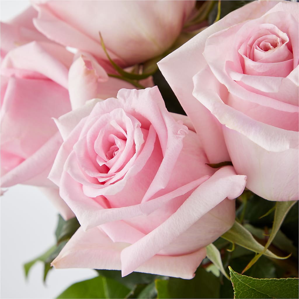 Picture Perfect Pink Rose Bouquet –  Mt Scott Flowers, Happy Valley OR