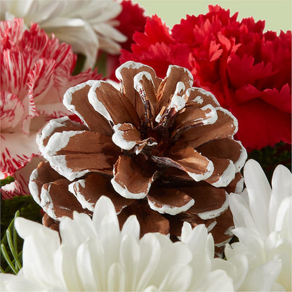 Candy Cane Lane Bouquet –  Mt Scott Flowers, Happy Valley OR