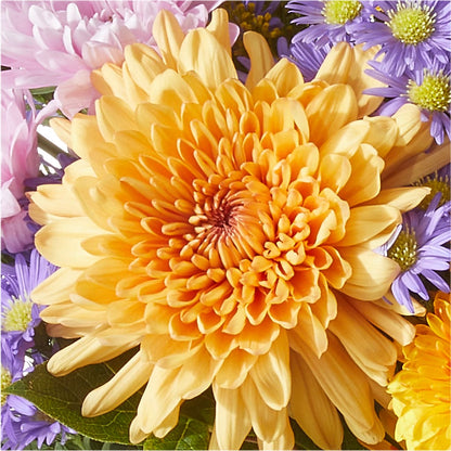 Countryside Bouquet –  Mt Scott Flowers, Happy Valley OR