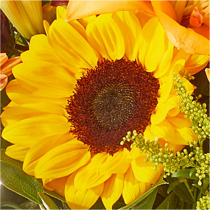 Seasons Change Bouquet –  Mt Scott Flowers, Happy Valley OR