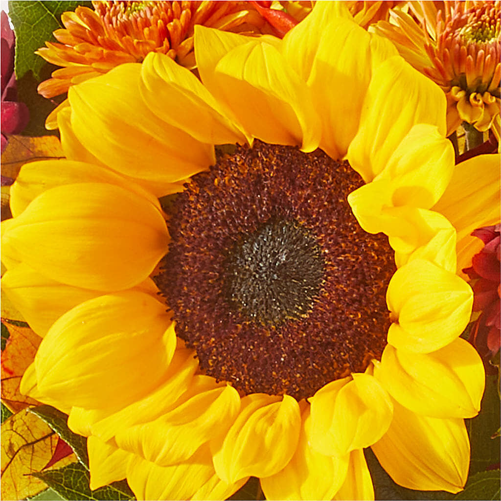 Sunny Side Bouquet –  Mt Scott Flowers, Happy Valley OR