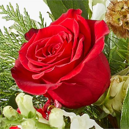 Deck the Halls Bouquet –  Mt Scott Flowers, Happy Valley OR