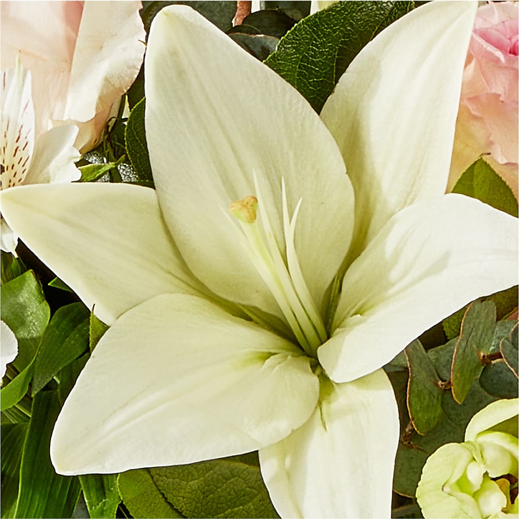 Ballet Slippers Bouquet –  Mt Scott Flowers, Happy Valley OR