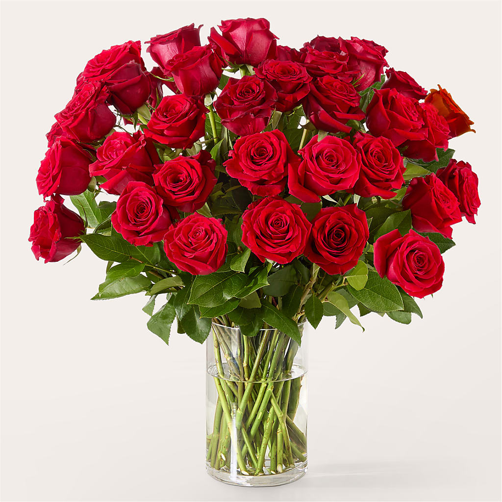 The One Red Rose Bouquet –  Mt Scott Flowers, Happy Valley OR